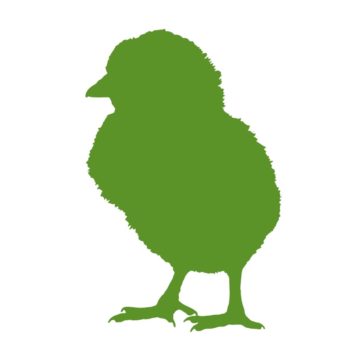 Swell Frozen Chicks 20 Pack