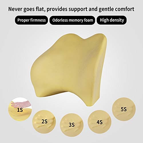 Memory Foam Lumbar Support Pillow for Car - Back Support for Office Chair and Car Seat Etc. (Black)