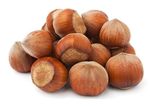 Raw Hazelnuts in shell from Poland - Whole Hazelnuts - Vegan Raw Natural Untreated Unprocessed Premium - 1 kg | Premium | Tasty and healthy