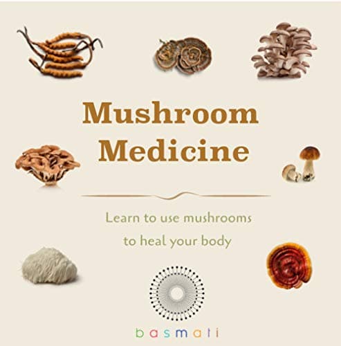Mushroom Medicine Kindle Edition