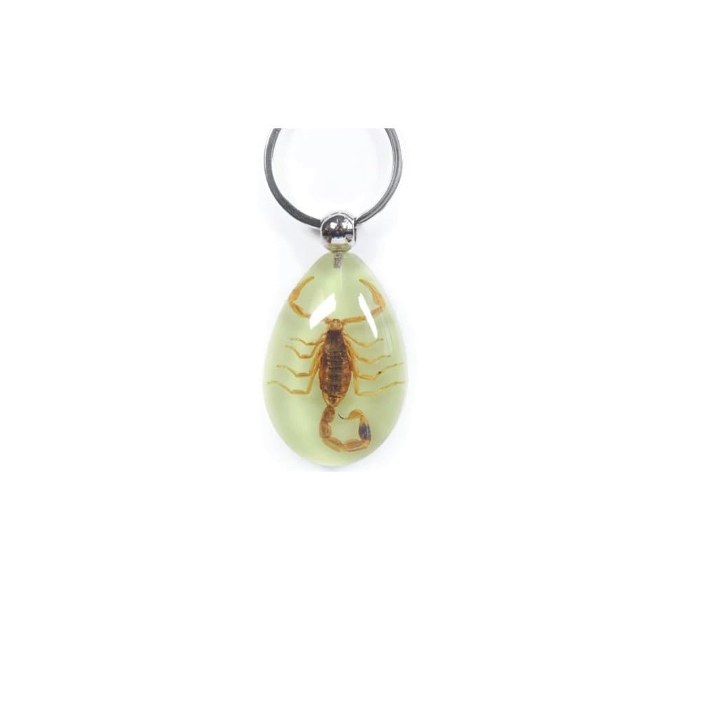 Glow in the Dark Scorpion Key Chain