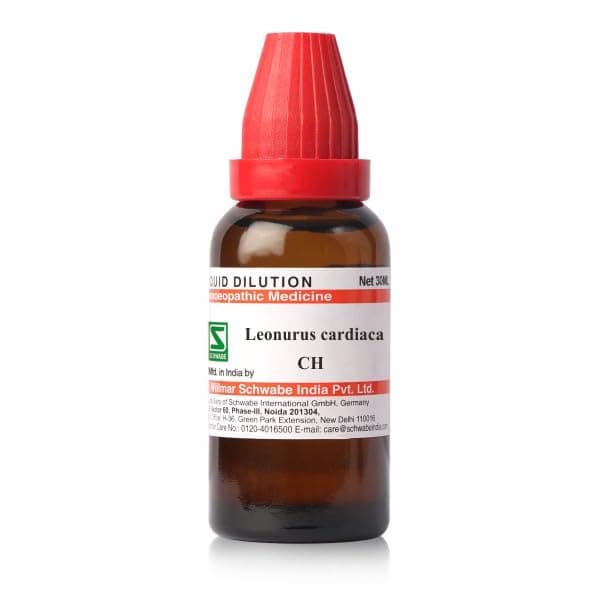 Dr.Willmar Schwabe Leonurus Cardiaca Dilution - 30 CH (30 ML)