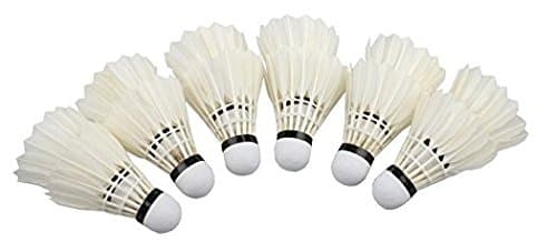 Eternal Good Durability Medium Speed Feather Shuttlecocks Badminton Ball,White,12 Shuttles Per Tube