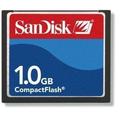 SanDisk 1GB Compact Flash Memory Card (Bulk)