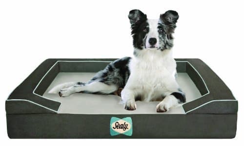 Sealy Dog Bed with Quad Layer Technology, Medium, Modern Gray by Sealy Dog Bed