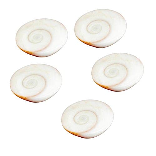 Gomati Chakra For Peace And Prosperity ,Gomti 5 Pcs Set Standard White