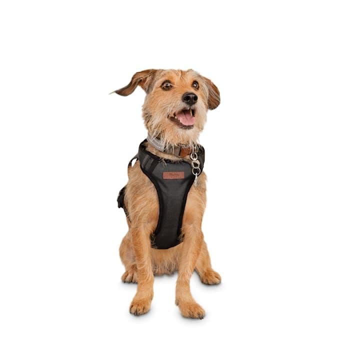 Reddy Road Trip Crash-Tested Dog Harness, Medium