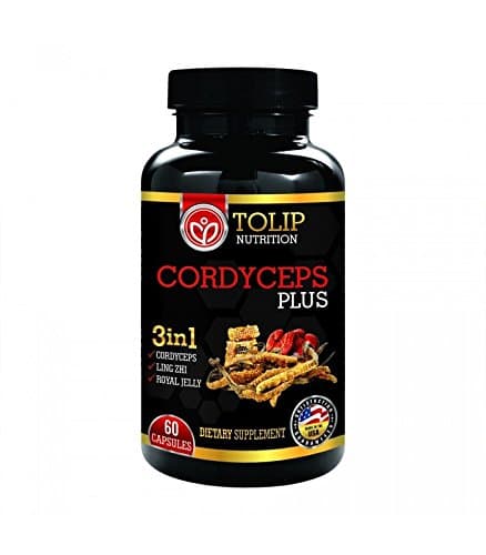 Tolip Nutrition Cordyceps Plus