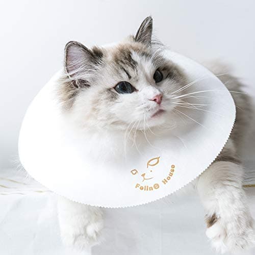 Pet Recovery E-Collar Cones (10 Pack) for Cats & Small Dogs After Surgery,Comfy Soft Elizabethan Kitten Neck Cone of Shame,Puppy Head Medical Collar,DIY to Prevent Licking Wounds & Rashes (L)