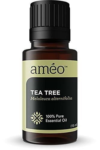 Ameo Tea Tree Essential Oil 15 ml