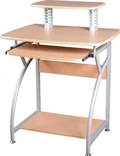 Chico Computer Desk in Natural/Silver