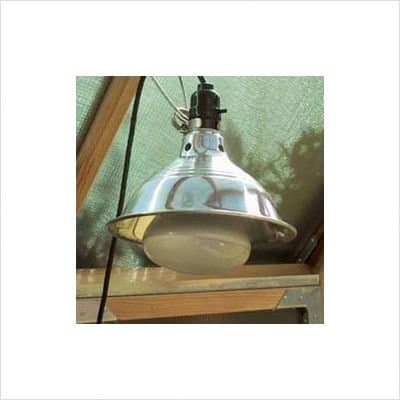 Wonderlight with Fixture