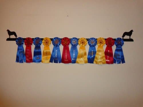 Showoff award racks - Border Collie - Wall Mount