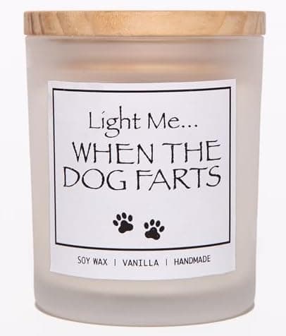 Light Me When Dog Farts