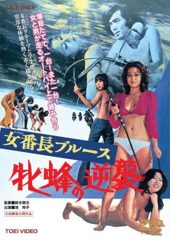 女番長ブルース 牝蜂の逆襲 [DVD]