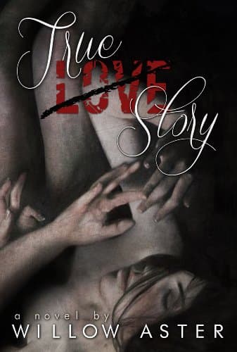 True Love Story Kindle Edition