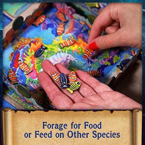 North Star Games Oceans Board Game