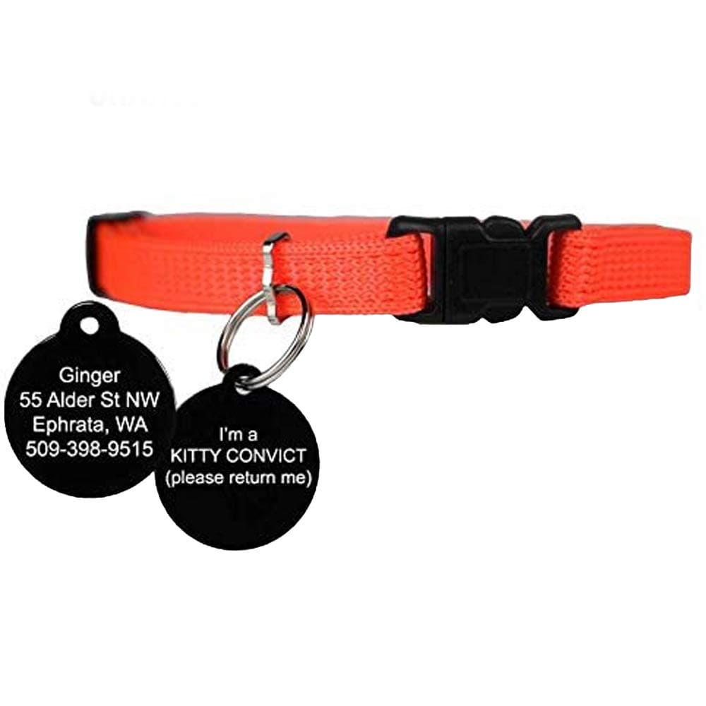 Kitty Convict Personalized Cat ID Collars (Orange Cat Collar w/Custom Pet ID Tag)