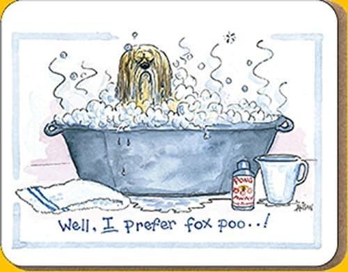 Alison's Animals Coaster: Well I prefer fox poo