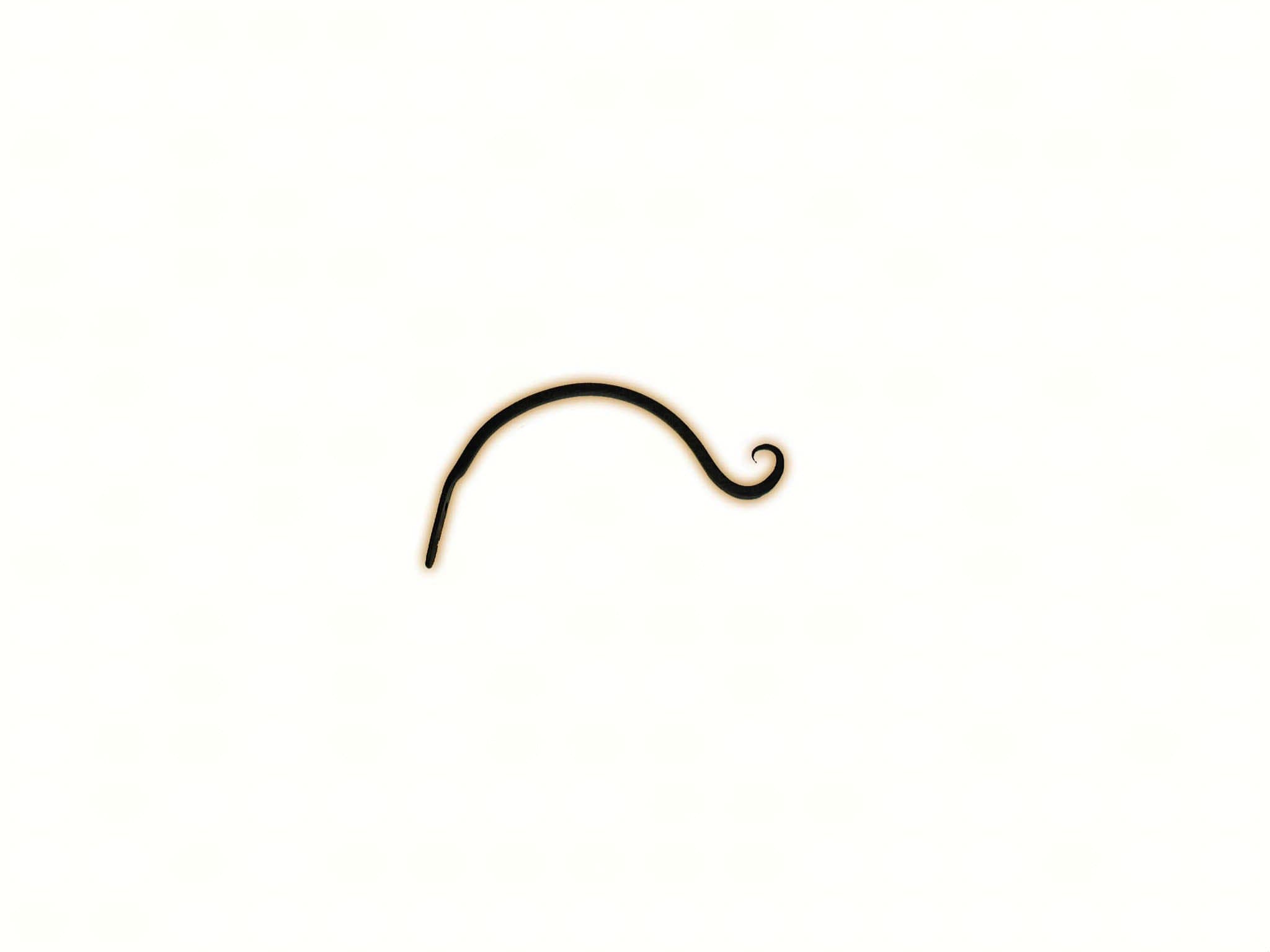 Curved Hanger Upturn Hook - A-13 - Bci