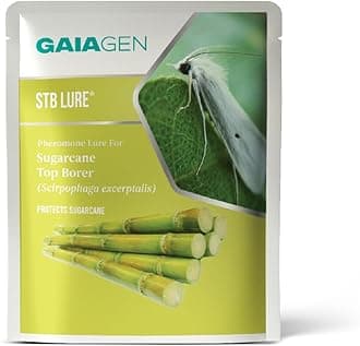 - STB® Lure - Pheromone Lure for Sugarcane Top Borer (Scirpophaga excerptalis) | Pack of 10 | (Does not Include Traps)