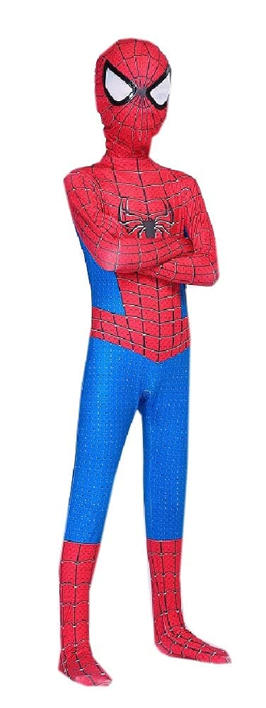 SPIDER COSTUME FOR FUN