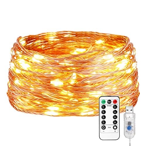 LE Fairy Lights, LED Copper Wire String Lights, Dimmable with Remote/Timer, USB Powered, IP65 Waterproof, Decorative Twinkle Light for Party, Wedding, Garden, Christmas and More (66)