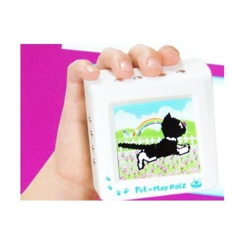 Zizzle Pet N' Play Palz Kitty