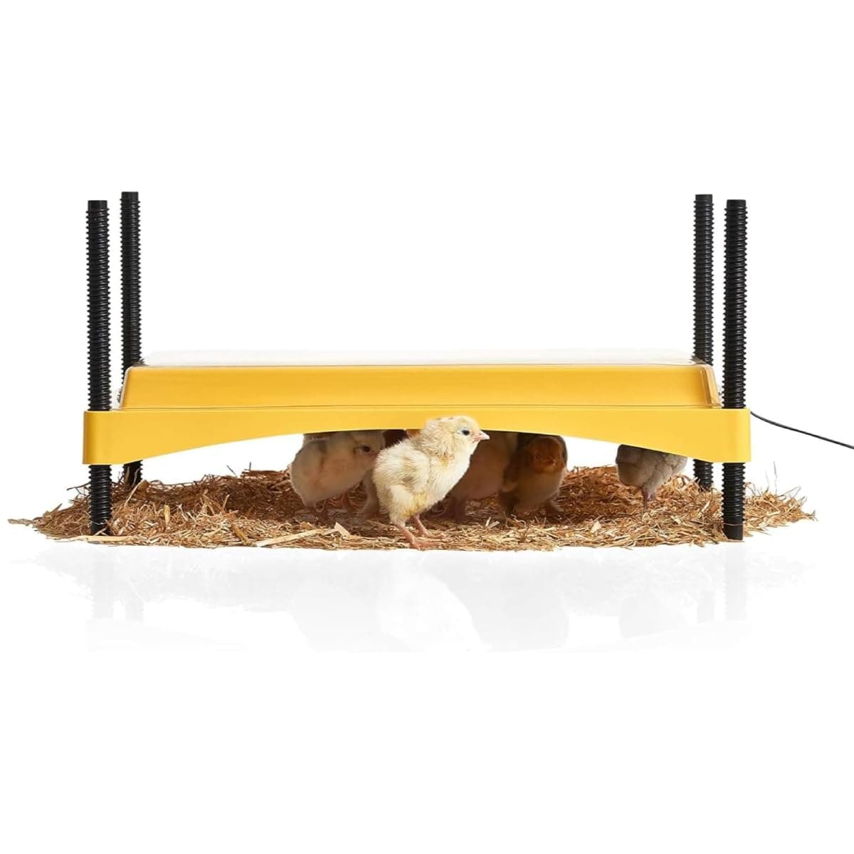 Brinsea Products Ecoglow Safety 1200 Brooder for Chicks Or Ducklings, Yellow/Black