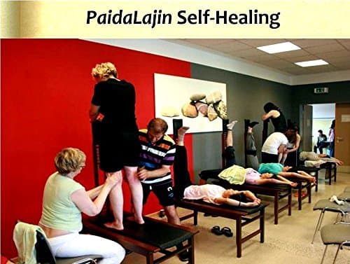 PaidaLajin Self-Healing
