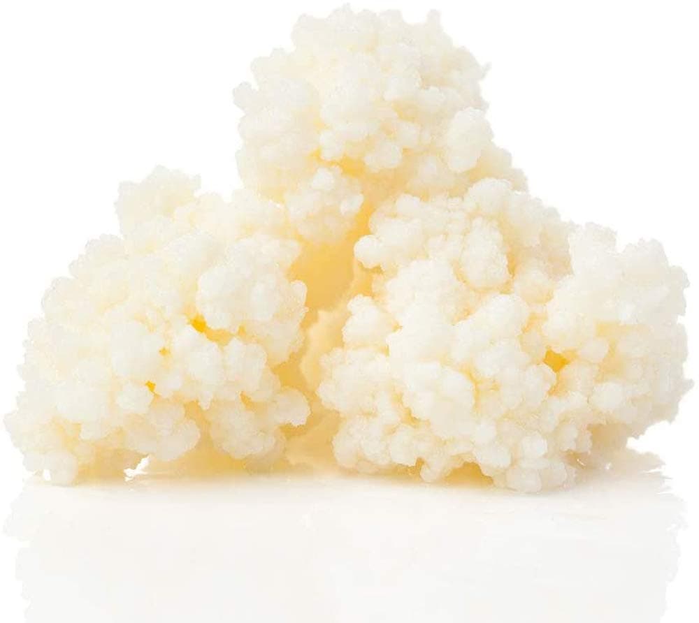 Kefir Grains from Raw Milk 1/4 Cup = 4Tbsp