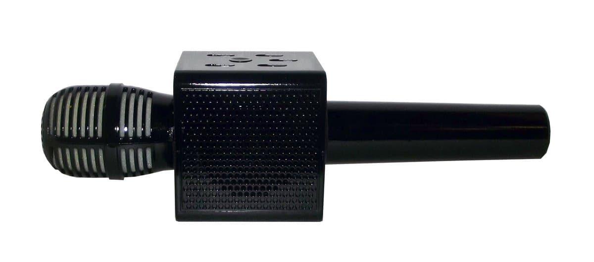 BT Karaoke Artifact Microphone