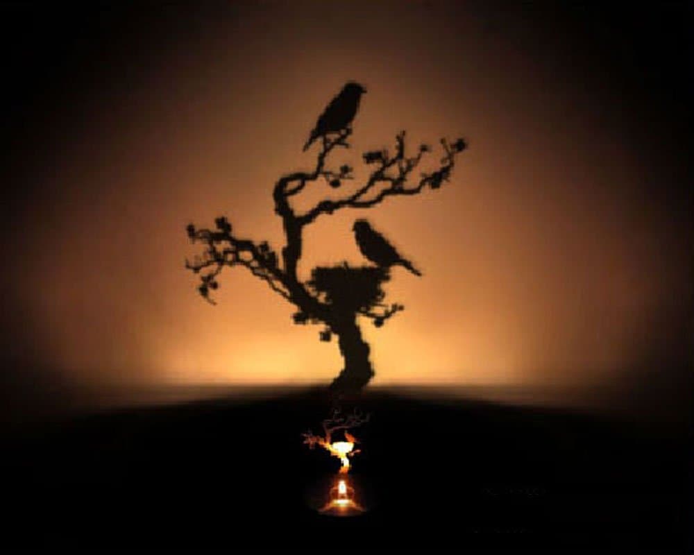 go2fionna Creative Candle Flickering Style Shadow Projection Lamp Timer Projector Light Romantic Atmosphere Night Light for Desktop Decor (Nest)