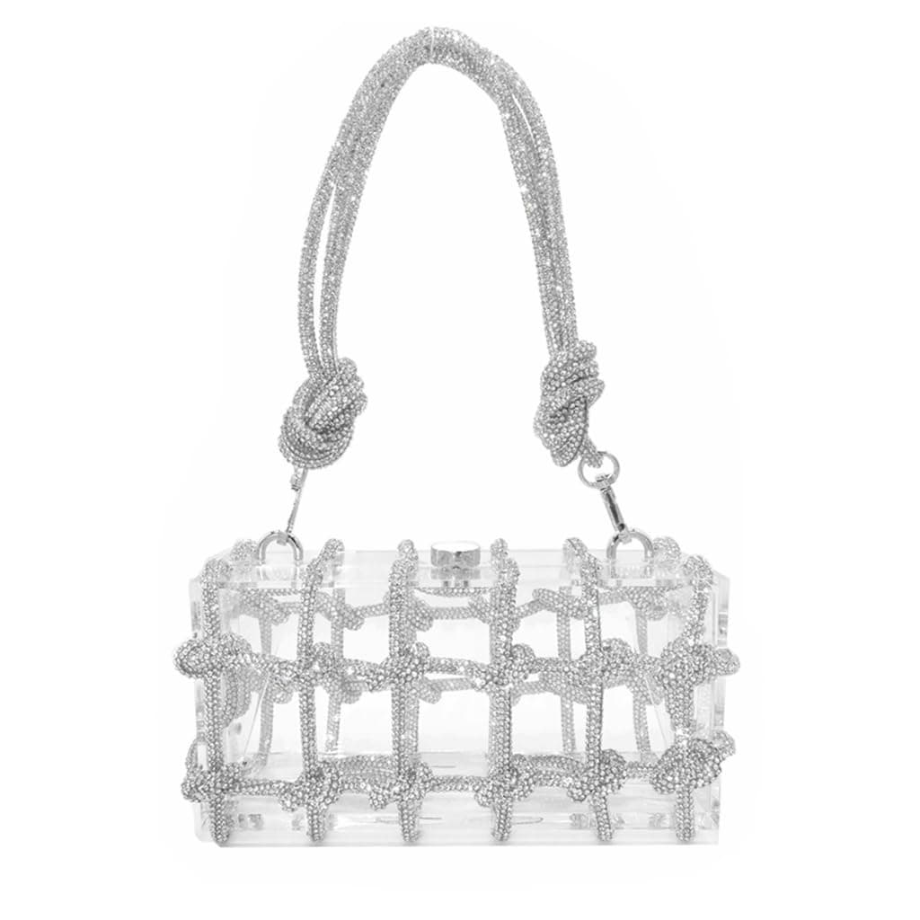 Clear Acrylic Clutch Purse