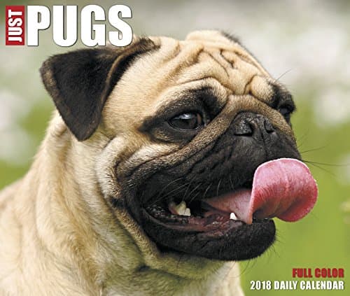 Just Pugs 2018 Calendar