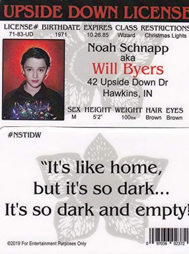 Signs 4 Fun NSTIDW Stranger Will ID, Grey