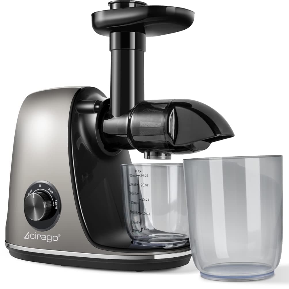 Slow Masticating Juicer Extractor, Juicer Machines, Two Speed Adjustment, Easy to Clean, Quiet Motor, Cold Press Juicer for Vegetables and Fruits, BPA-Free (Grey)