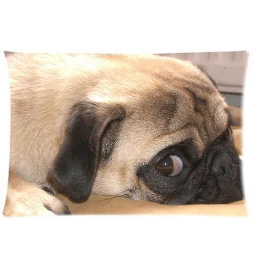 Personalized Pug Dog Pillowcase Standard Size 20x30 (one side) Soft Pillow Cover Case GPGP-066