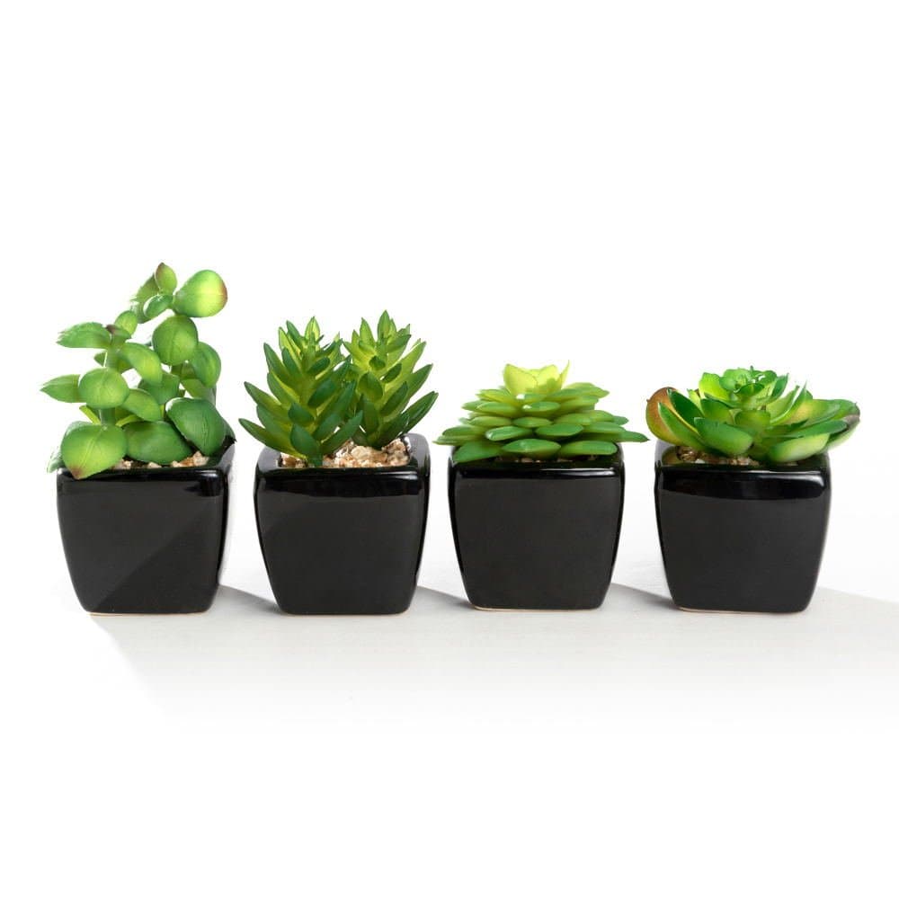 Modern Mini Artificial Succulent Plants Potted in Cube-Shape Black Ceramic Pots for Home Decor, Set of 4