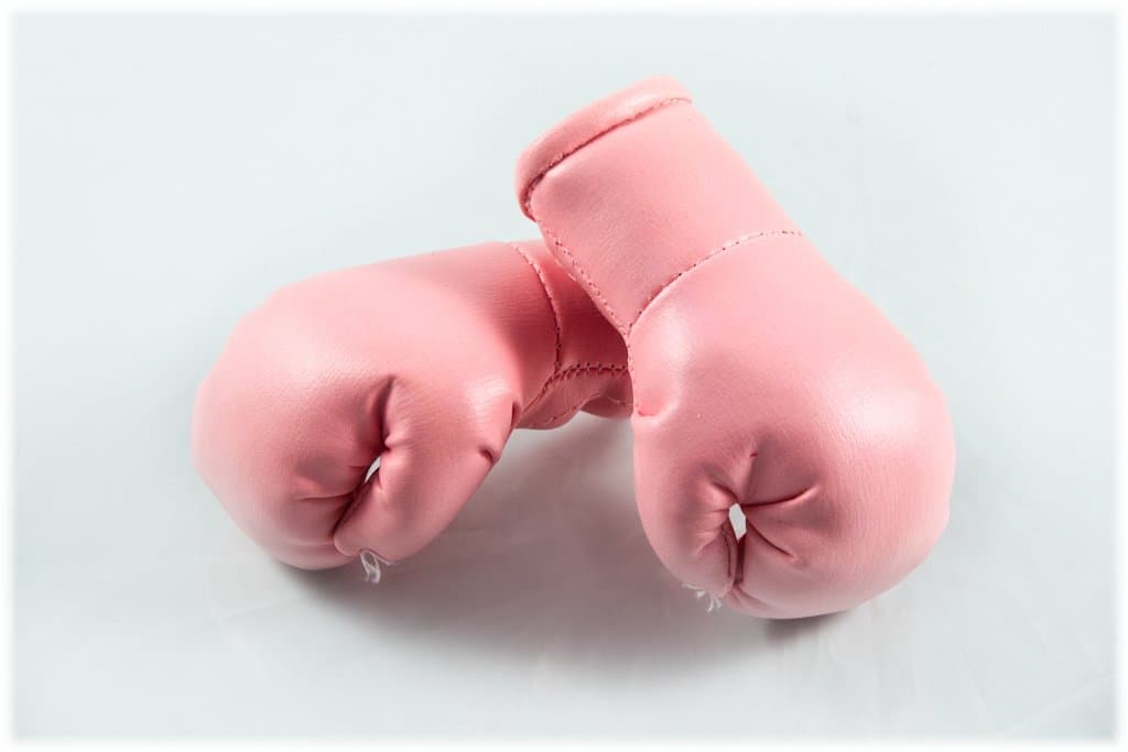Mini Boxing Gloves Pink/Light Pink, 1 Pair (2pcs) Mini Boxing Gloves for Car Interior Mirror