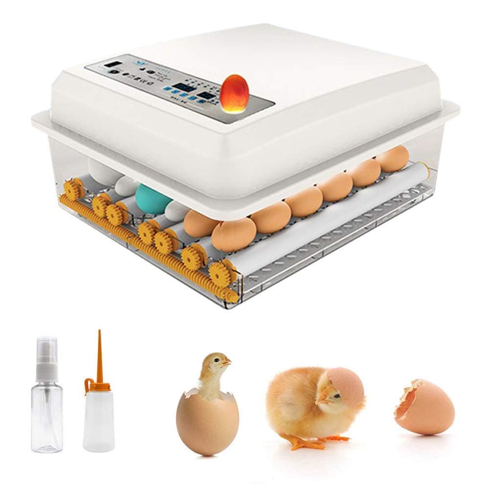 InLoveArts 16 Egg Incubator, Digital Automatic Hatcher with Temperature Control Automatic Turning for Egg Duck Egg Bird Egg Turkey Eggs Home Use