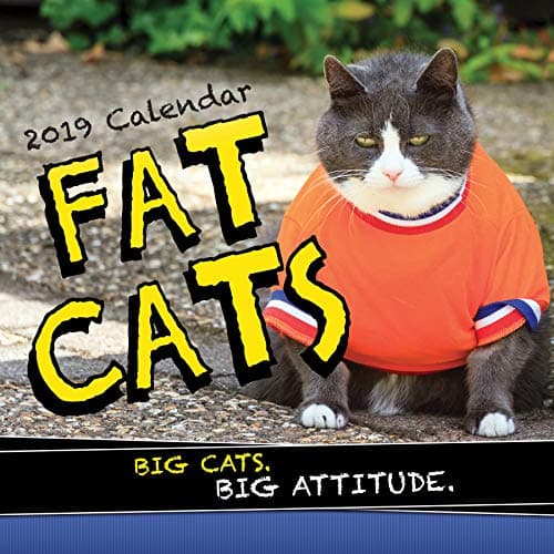2019 Fat Cats Wall Calendar