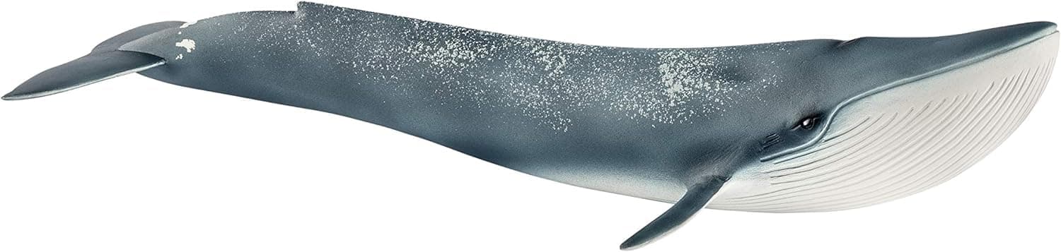 Schleich Blue whale Toy Figure