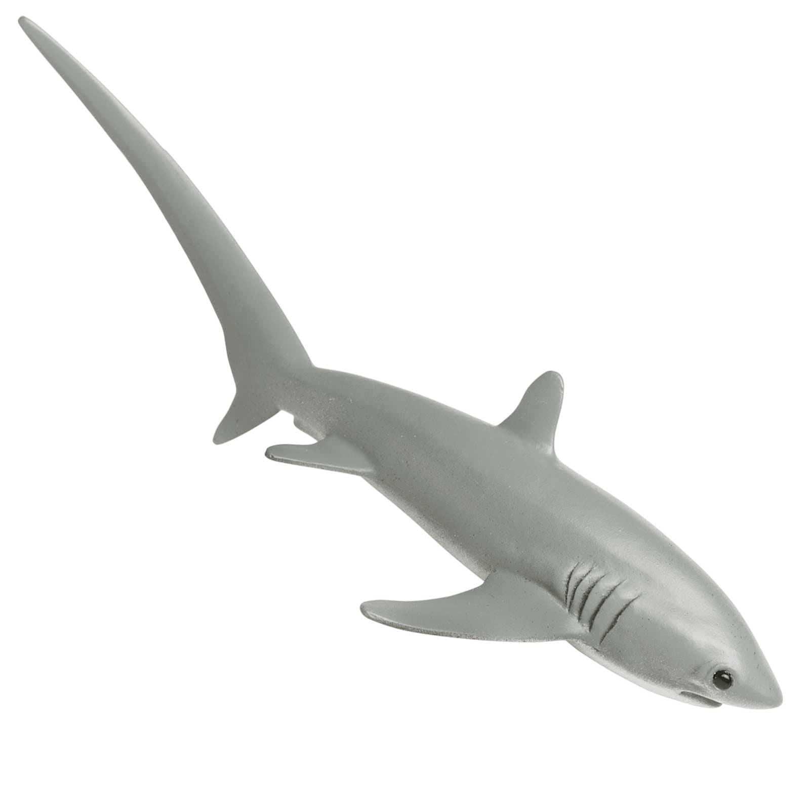 Safari Ltd Thresher Shark Figurine -Lifelike 6.75" Model Figure - Educational Toy for Boys, Girls, and Kids Ages 3+