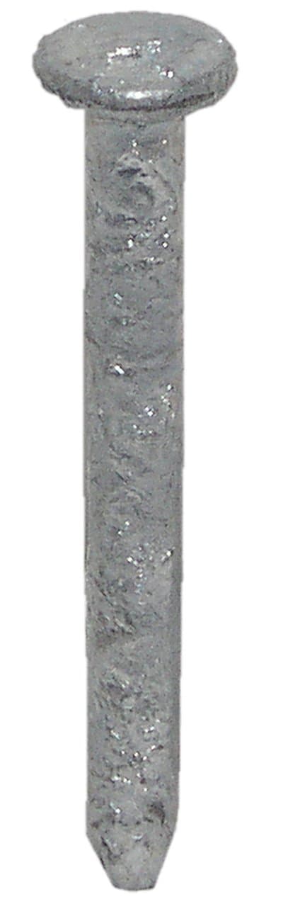 USP Structural Connectors NA11-1MC 8D by 1.5-Inch Hot Dip Galvanized Nails, 152-Count