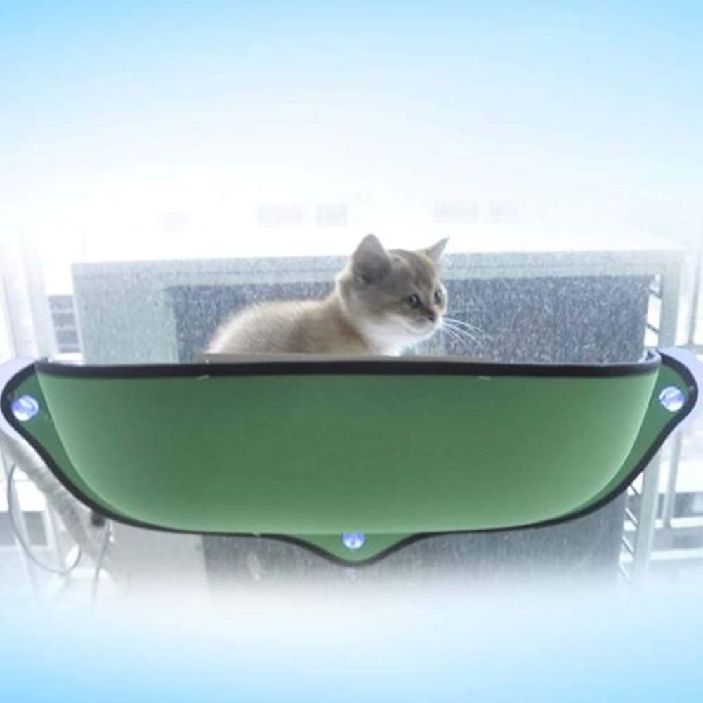 CVERYCat Window Bed, Green, EVA Material, Suction Cups, Small & Medium Cats