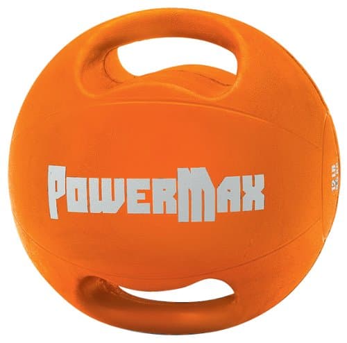 Core Exercise Ball