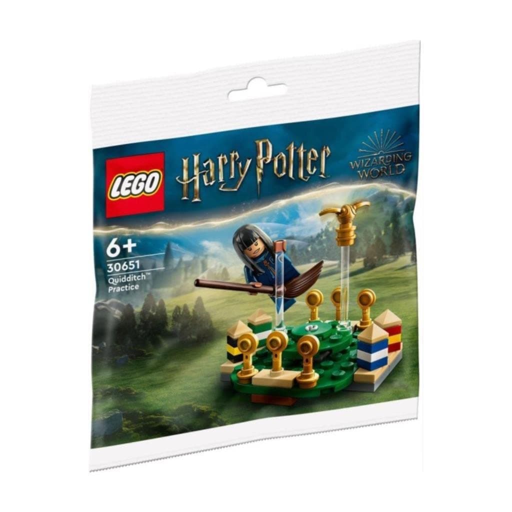 Harry Potter: Quidditch Practice Polybag 30651