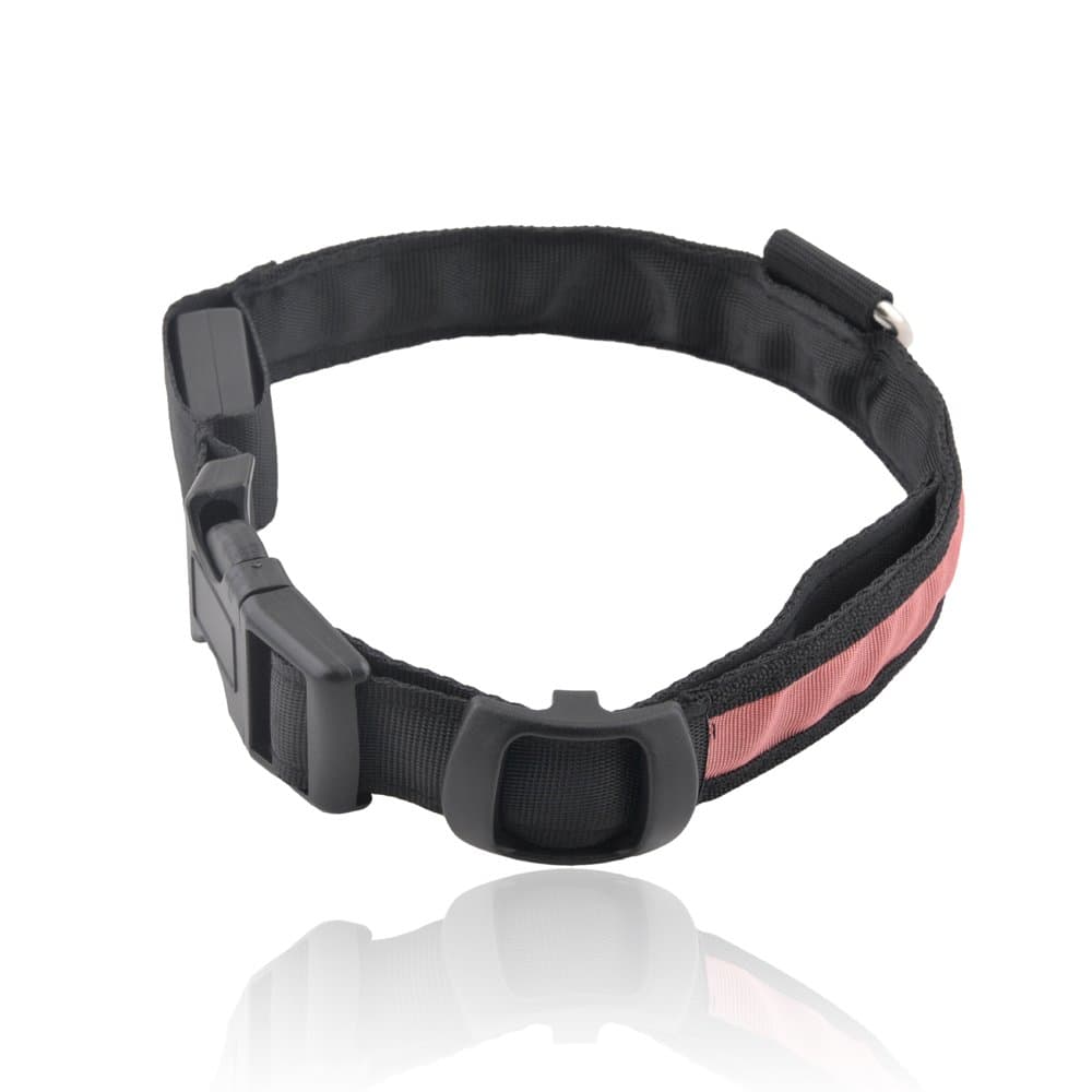 Dog Collar with Red LED Lights, Multi-Function, Large