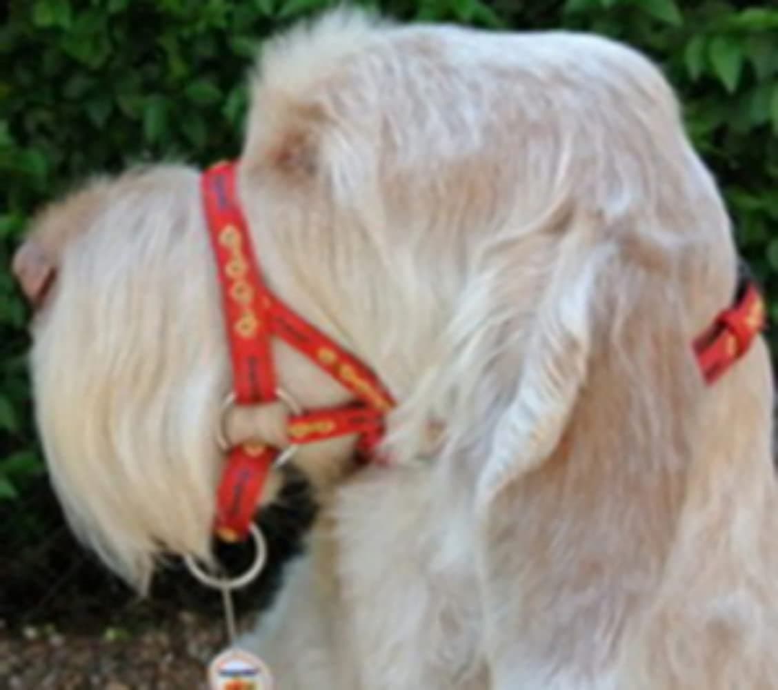 DOGMATIC HEADCOLLAR PADDED CUSHIONED WEBBING PCW - RED - SIZE 4